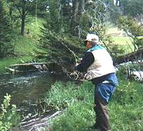 Parnelli in the Big Hole
