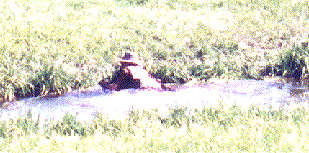 B2 a littler wetter than planned!