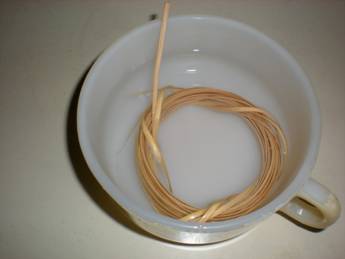 :DSCN1073.JPG