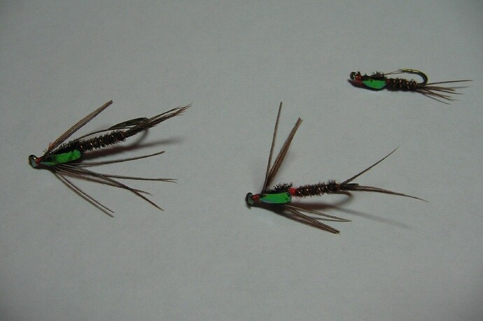 IMG_3760 (3) (2).JPG