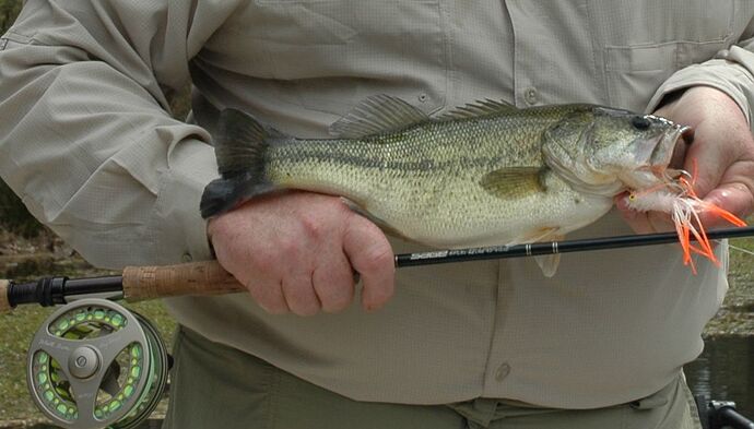 LakeFork1.jpg