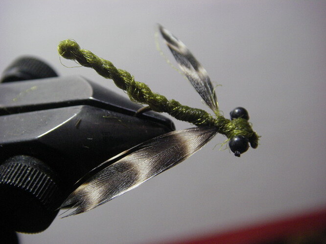 furled body damselfly edited.jpg