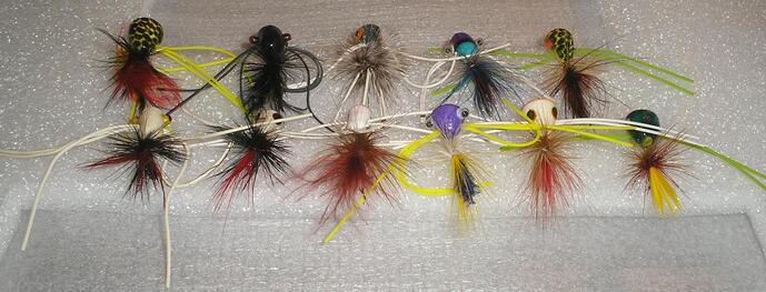 Popping bugs rear.jpg