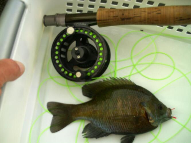 May 9 2011 009.jpg
