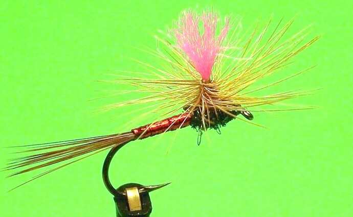 Cherry Limade Parachute.jpg