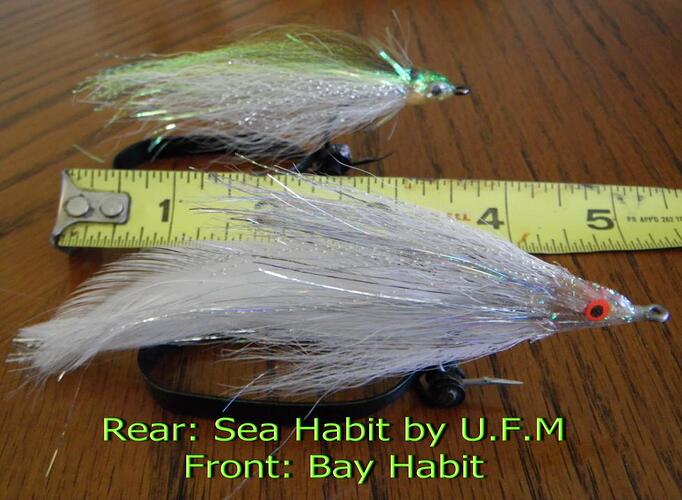 Bay Habit & Sea Habit Side Profile_resize.jpg
