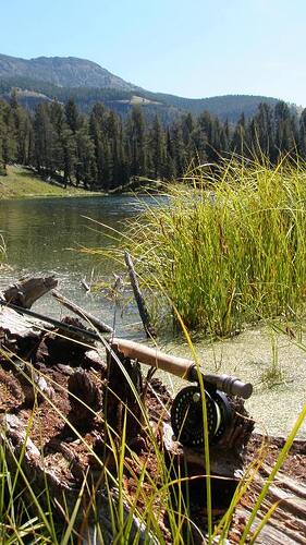 P8200214_01.JPG