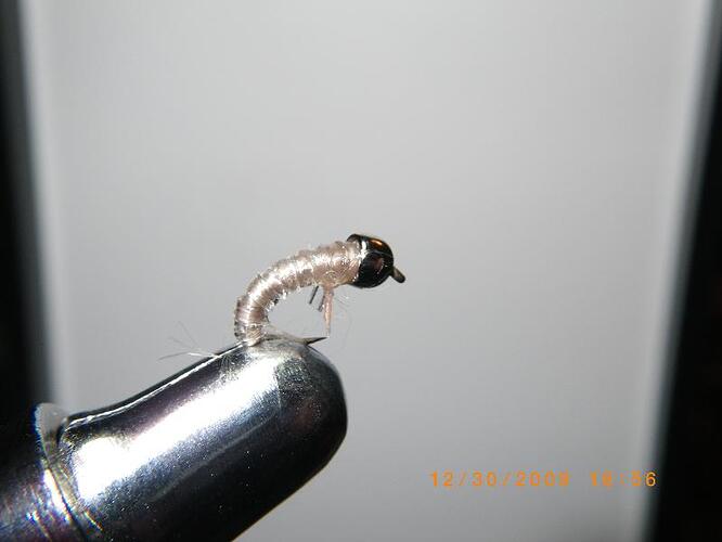 Tube Scud Beadhead.JPG
