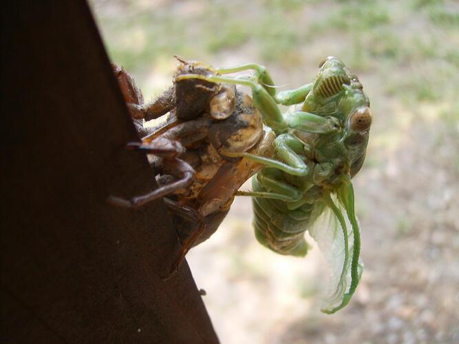 mis pics of 2011 035.jpg