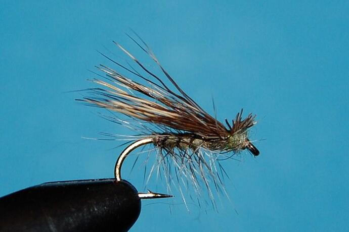 Mothers Day Caddis.jpg