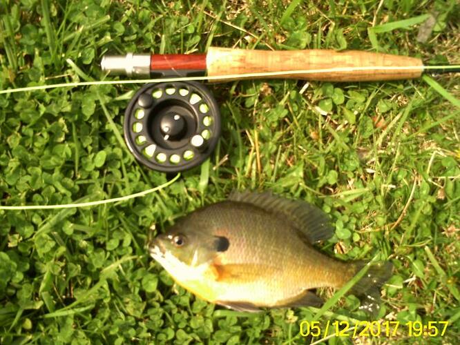 Bennett Springs trip 009.jpg