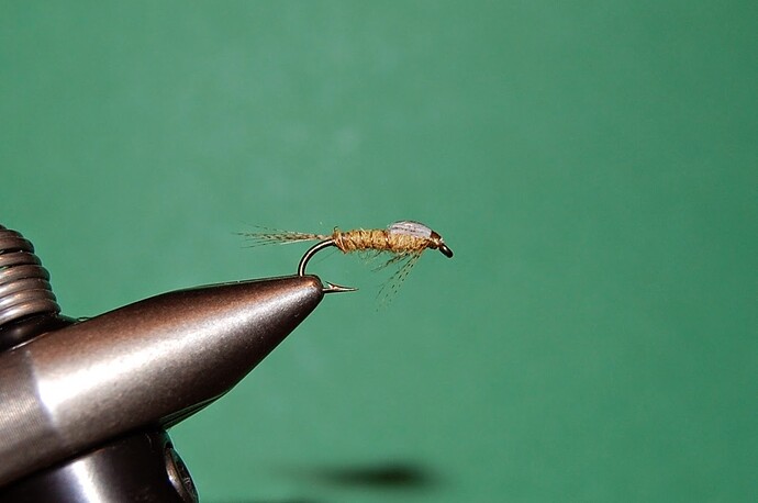 BWO Nymph.JPG