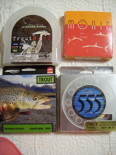 FLY LINES.jpg