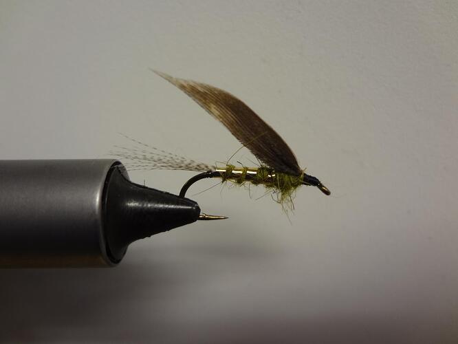 Winged Wet 003.jpg