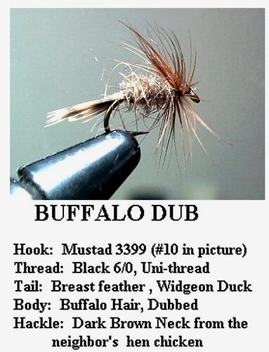 Buffalo Dub.jpg