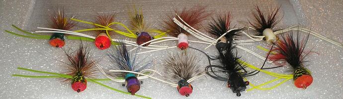 Popping bugs face.jpg