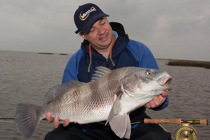 Black Drum on fly IMG_2251.jpg