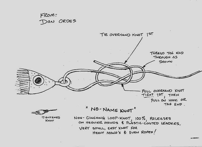No-name knot.jpg