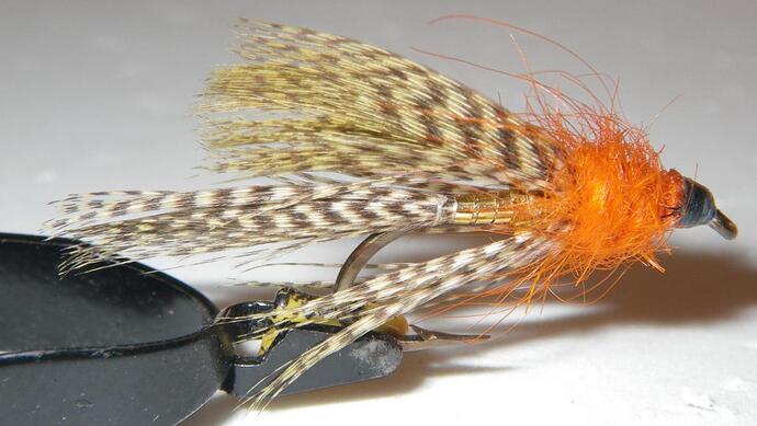 Cal Bird Muddler 03 06 1991 II.jpg