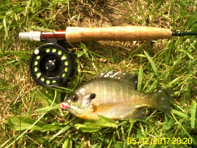 Bennett Springs trip 010.jpg