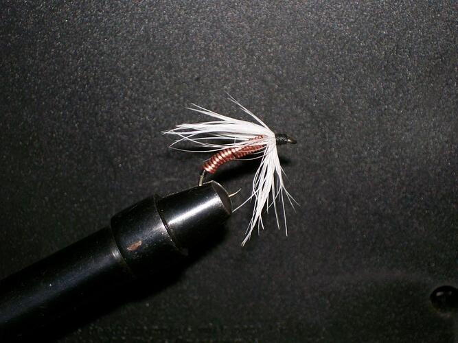 100_2507.jpg