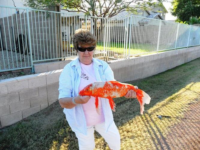 Pats first carp 003.jpg