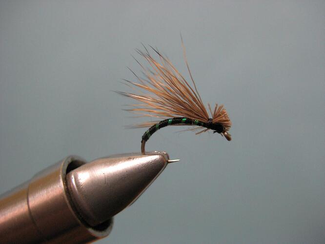 part 2 flies 011.jpg