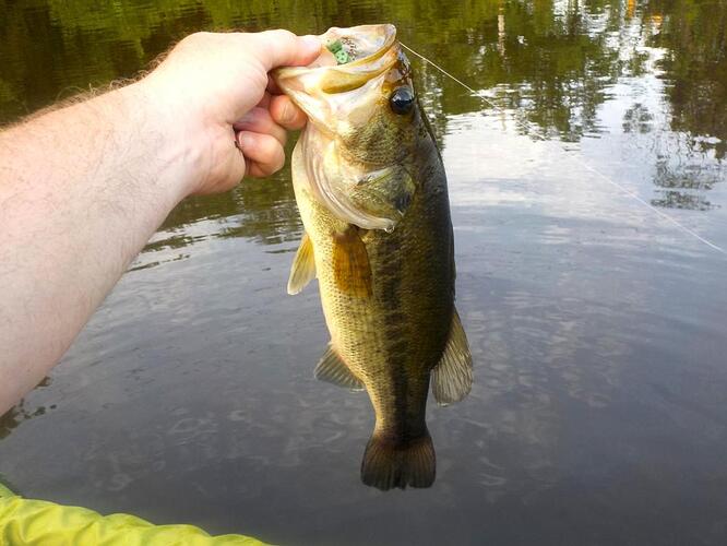 DSCN0569 - Edited.jpg