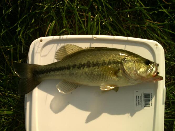 May 9 2011 012.jpg
