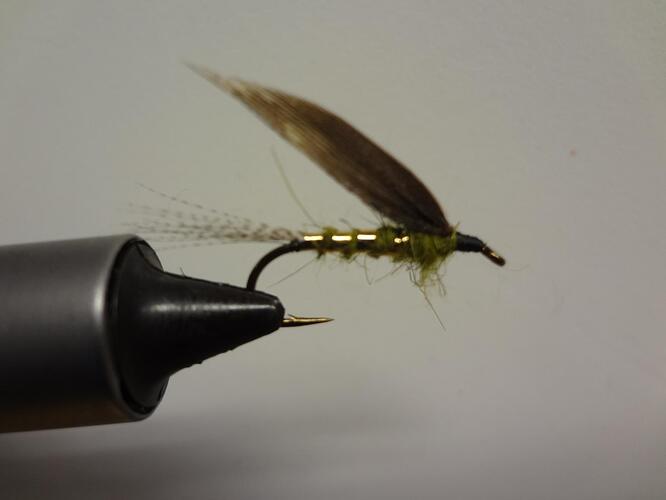 Winged Wet 002.jpg