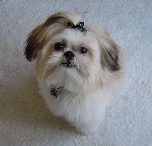 MAX11-6-09005.jpg