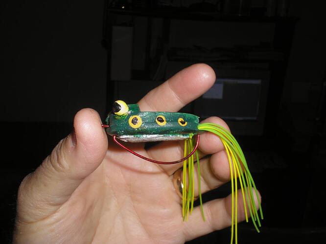 Frog side view 2.jpg