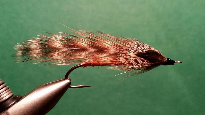 Sunset Starling2.jpg