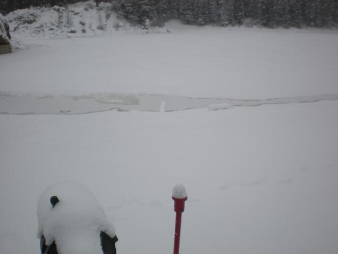 DSCN0955.jpg