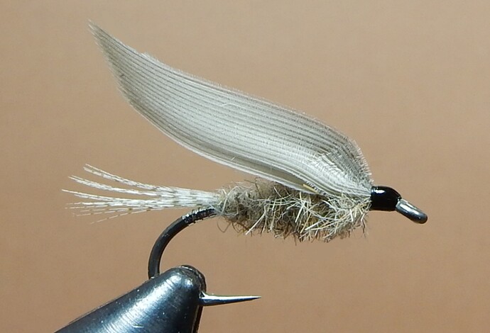 Tree Hopper 1080.JPG