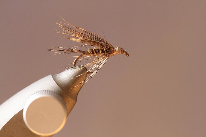 march brown 2.jpg