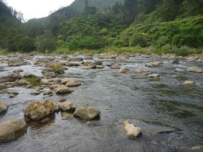 Ohinemuri_Pocketwater_Jan01_2014_UpstreamB.jpg