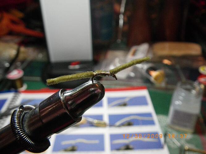 San Juan Olive.JPG