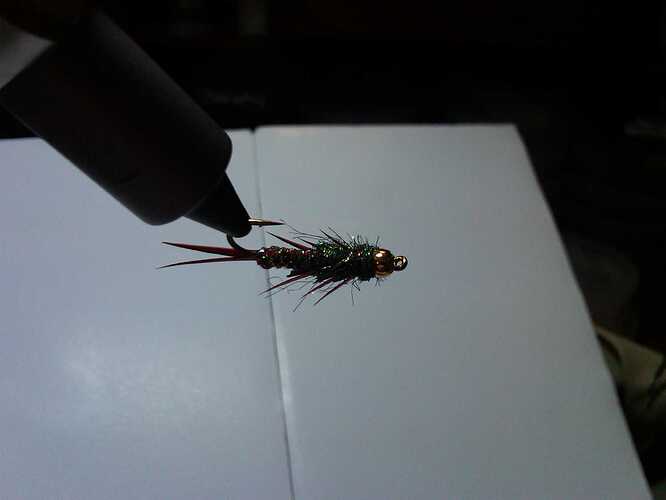 IMG00164-20101017-1852.jpg