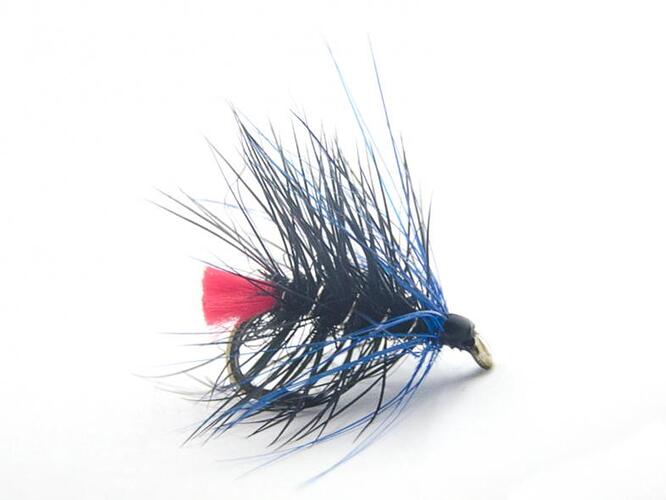 Blue Zulu Spring.jpg