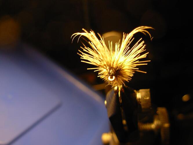 DSCN1520.jpg