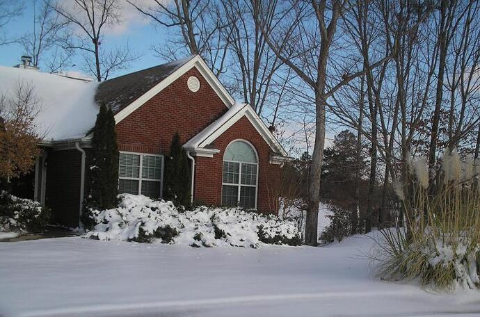 Snow 01-11.jpg