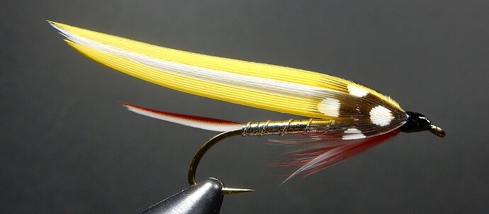 Binns-Streamer-1080.jpg