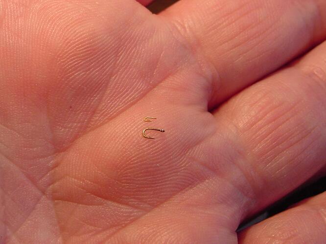 Tiemco Mustad 32s on hand.jpg
