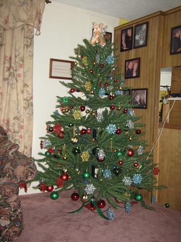 IMG_1572.jpg