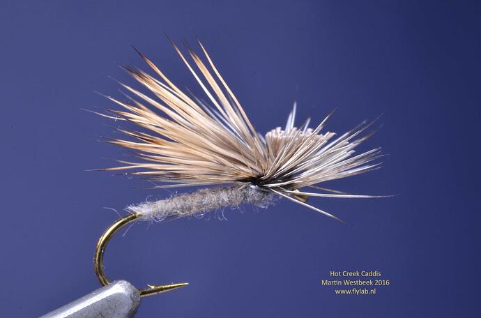 HotCreekCaddis0011smweb.jpg