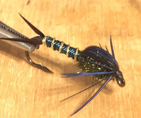 Royal Prince Nymph 4.jpg