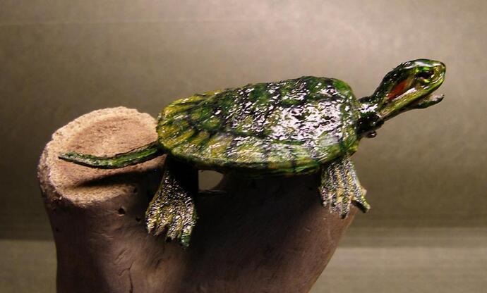 turtle side- 1000.jpg