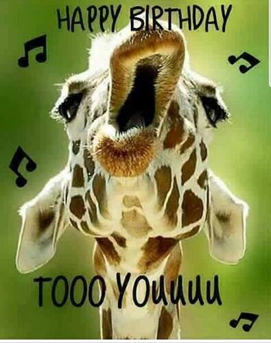 51914294_10213861315316813_8820053656909905920_n copy.jpg