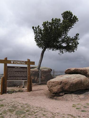 july2008 009.jpg